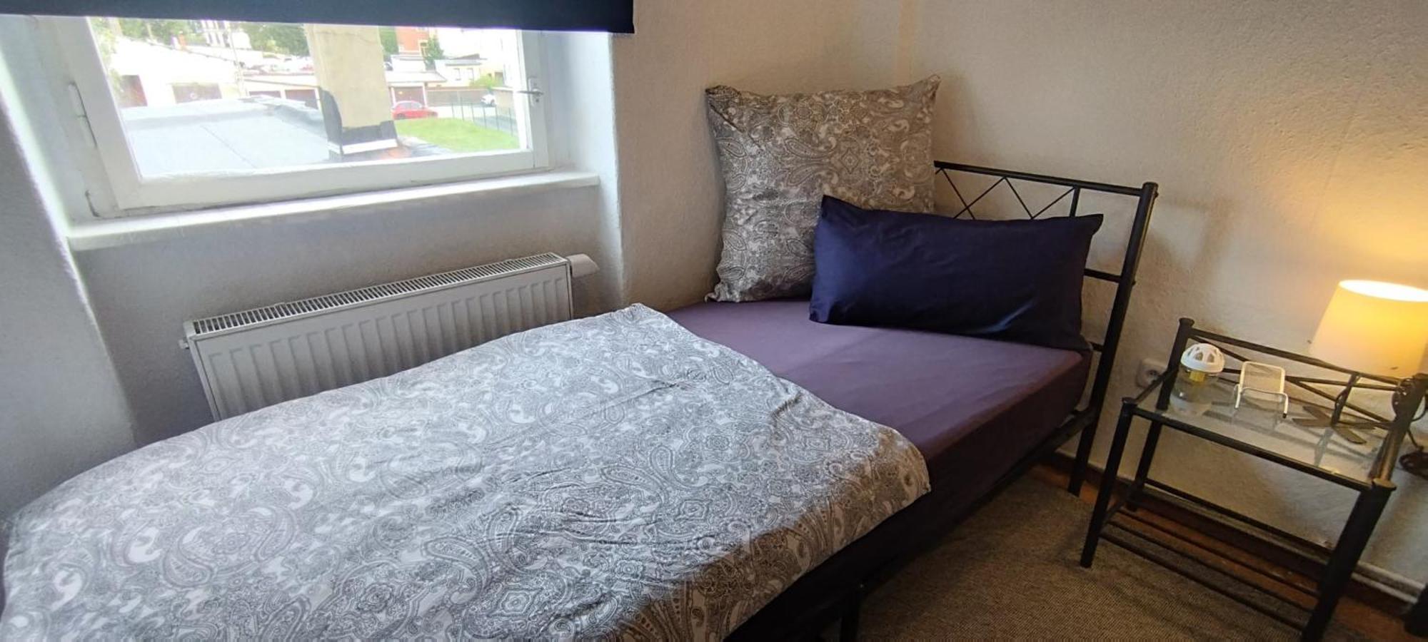 Daily Weekly Monthly Apartment Glauchau Buitenkant foto